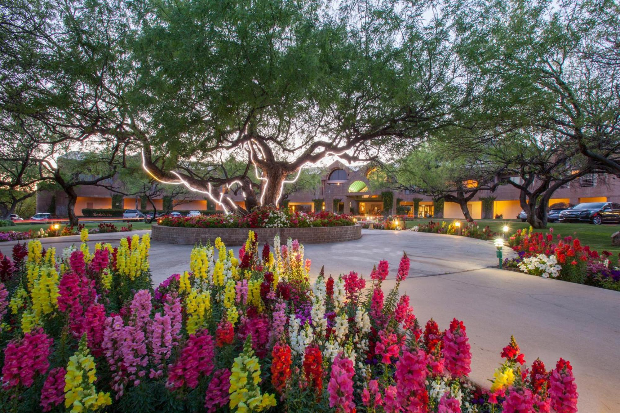 The Lodge At Ventana Canyon Mount Lemmont Exterior photo